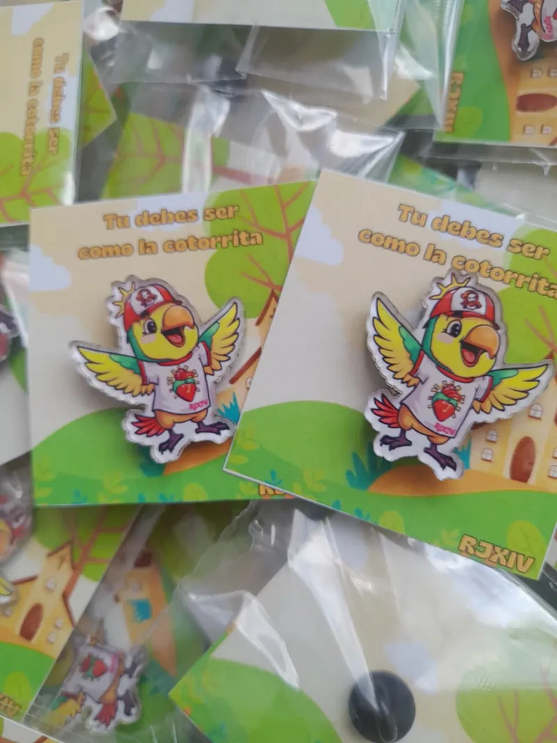 Pin acrílico premium Santander Colombia
